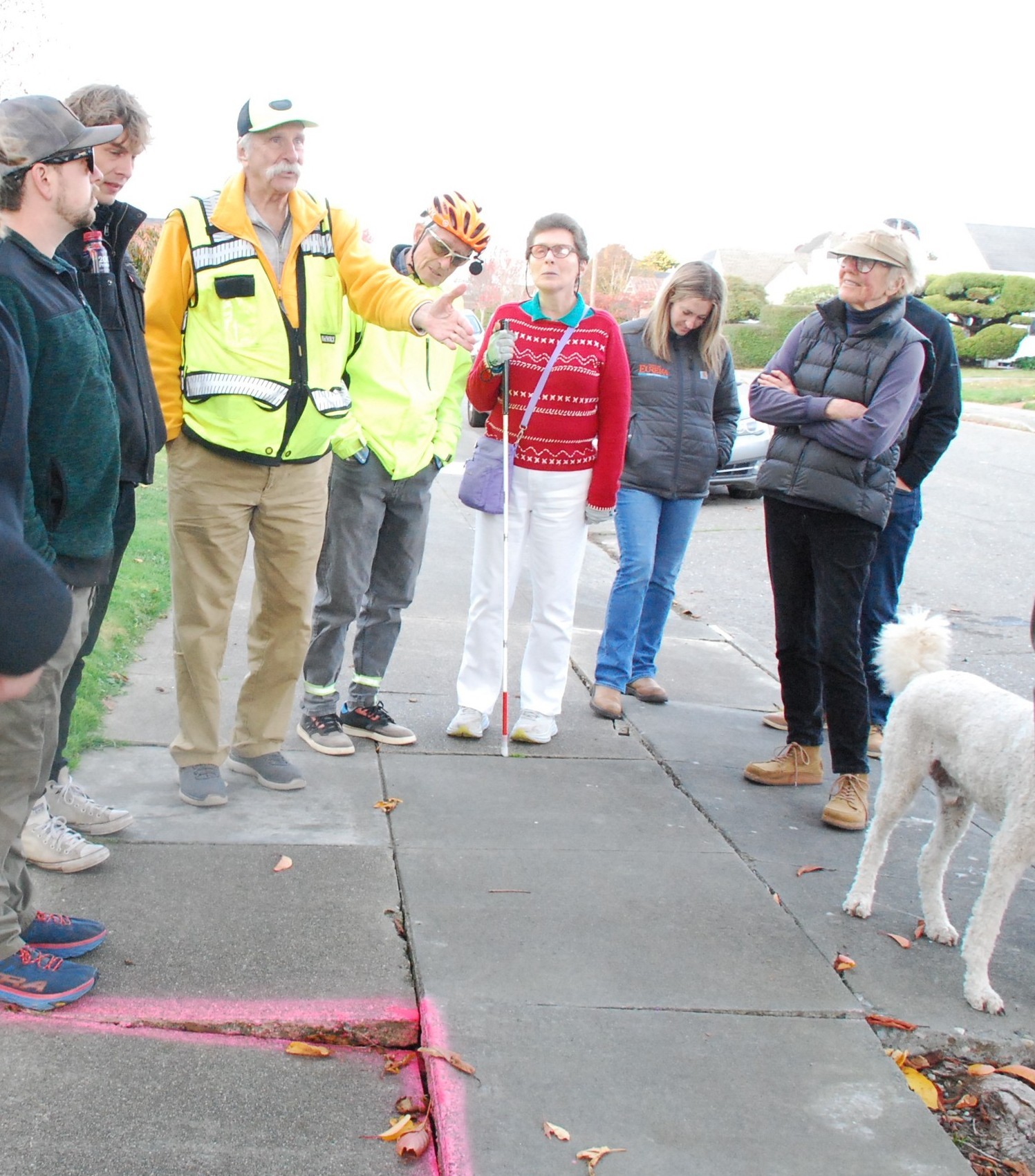 Dan Burden and several residents (and a dog) are standing around a sidewalk where it is uplifted by tree roots, marked with pink spray paint..